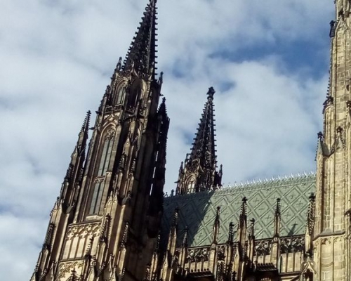 IMG_20191025_124508.jpg