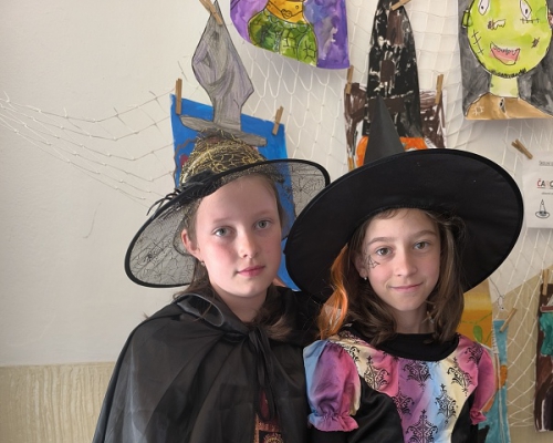 IMG_20250430_143429.jpg