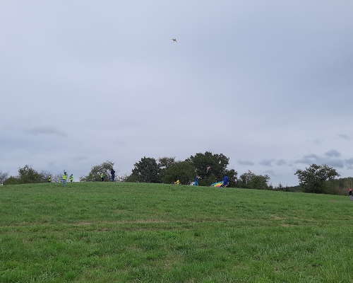 20240927_145112.jpg