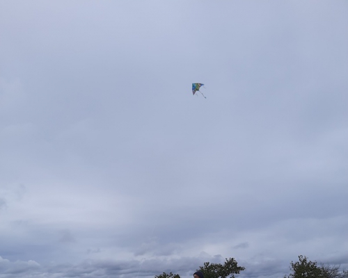 20240927_151028.jpg
