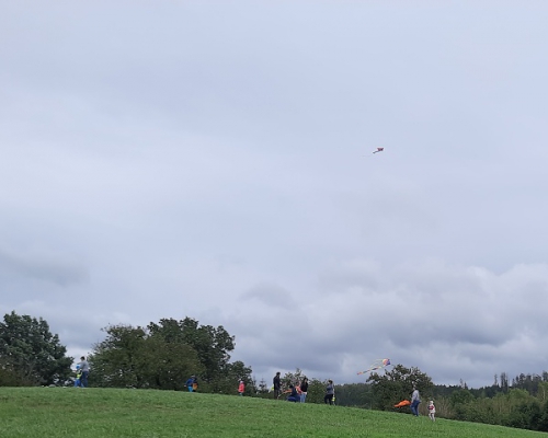 20240927_151632.jpg