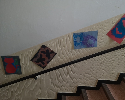 20241101_080517.jpg