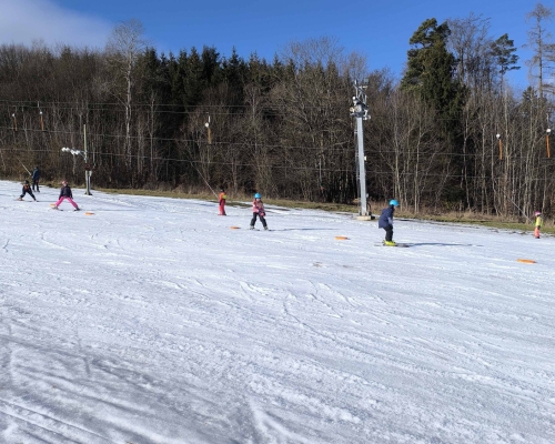 IMG_20250129_110028.jpg