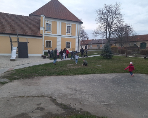 IMG_6860_20250328.jpg