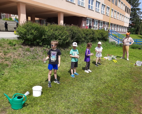 20250604_124437.jpg