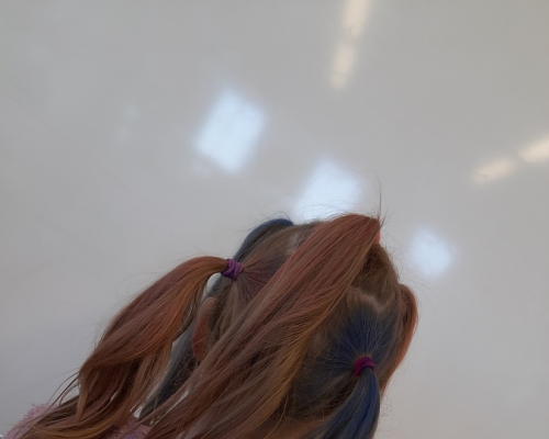 20260401_075537.jpg