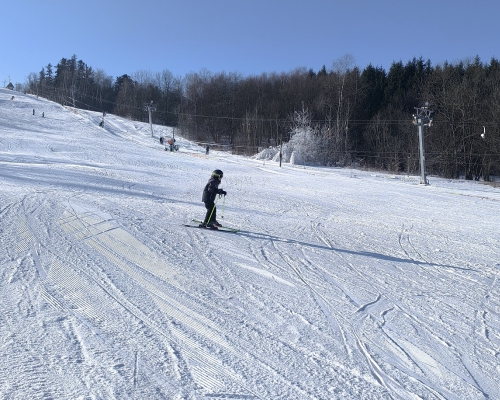 IMG_20260119_114535.jpg