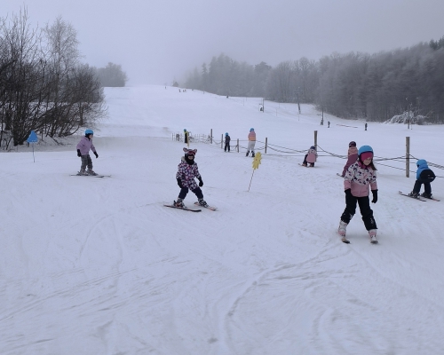 IMG_20260123_121914.jpg