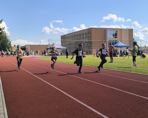 IMG_20260520_104537.jpg