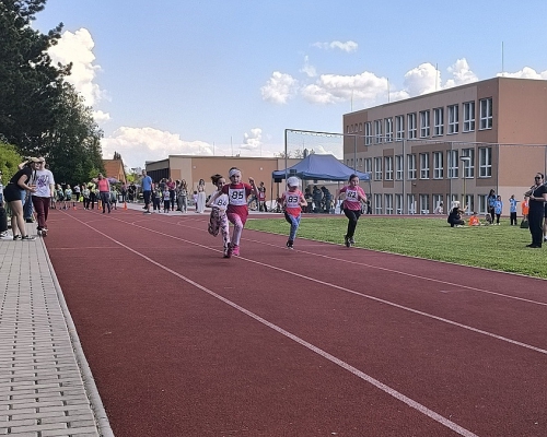 IMG_20260520_104707.jpg