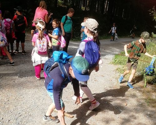 IMG-20250905-WA27.jpg
