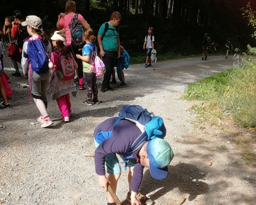 IMG-20250905-WA28.jpg